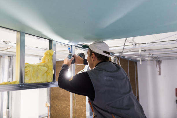 Best Residential Insulation in St Peter, WI
