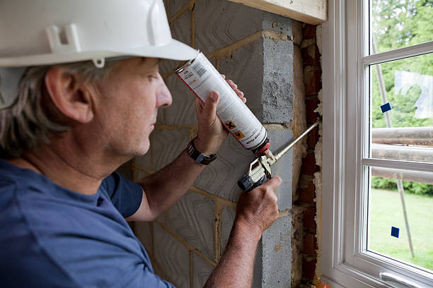 Best Specialized Insulation Services in St Peter, WI