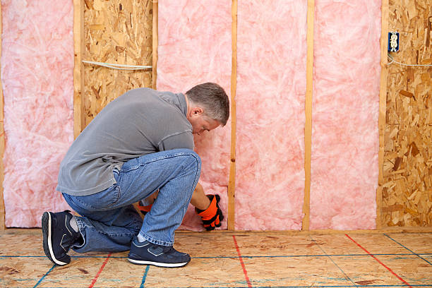 Best Commercial Insulation in St Peter, WI